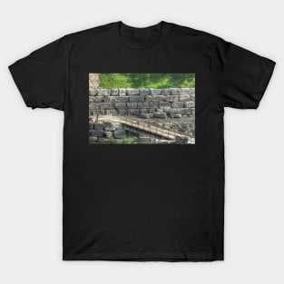 More Bricks In The Wall T-Shirt